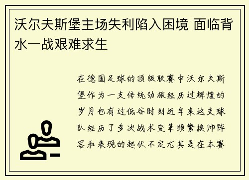 沃尔夫斯堡主场失利陷入困境 面临背水一战艰难求生